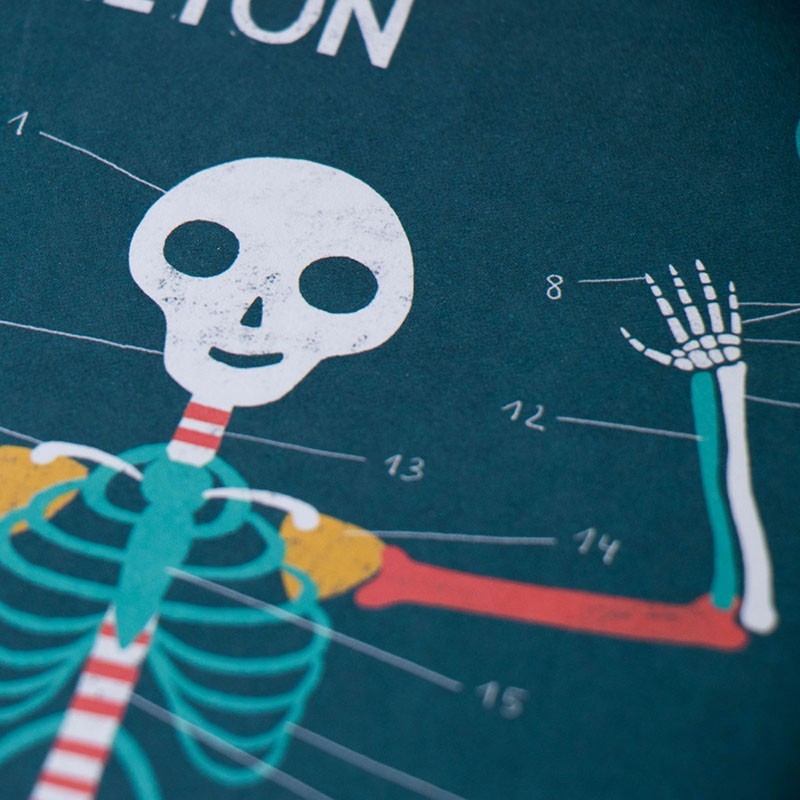 Educational game of the human body